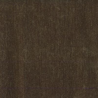 Ramp Espresso fabric swatch, Grade 5