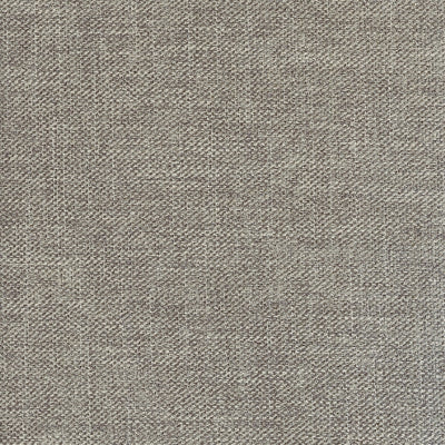 Jango Mushroom Swatch
