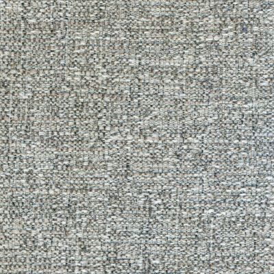 Bristow Silver fabric swatch, Grade 10