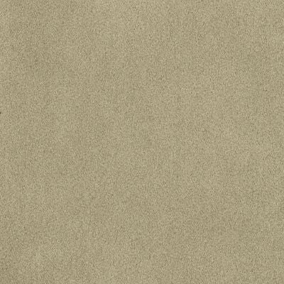 Julia Desert fabric swatch, Grade 10