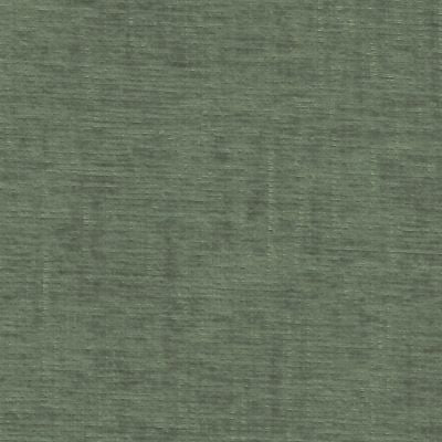 Nile Sage fabric swatch, Grade 10