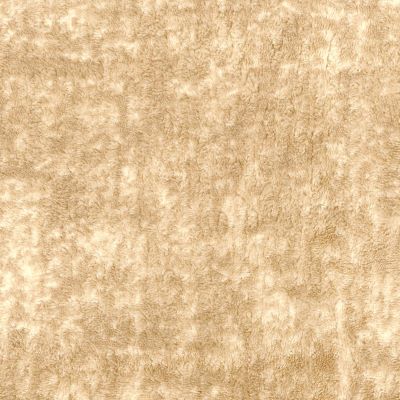 Teddy Toast fabric swatch, Grade 5