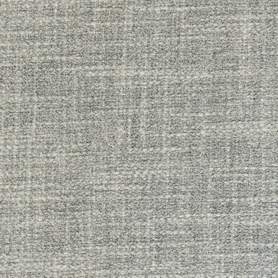 Wish Greybirch fabric swatch, Grade 20