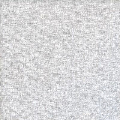 Element Silverdollar Swatch